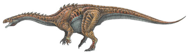 File:Massospondylus.jpg
