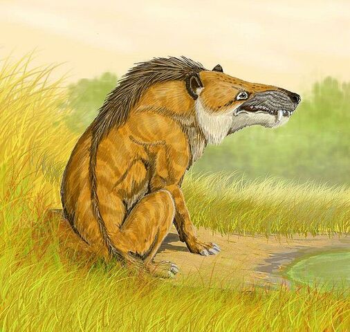 File:Andrewsarchus pd.jpg