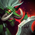 IconHeadhunter