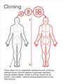 Thumbnail for version as of 18:05, March 24, 2012