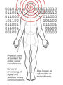 Thumbnail for version as of 18:05, March 24, 2012
