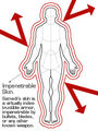 Thumbnail for version as of 18:06, March 24, 2012