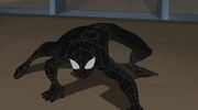 Spiderman Black Suit