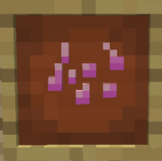 Cotton seed
