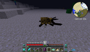 Pinch Beetle