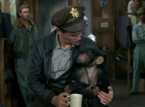 File:Zmonkey3.PNG