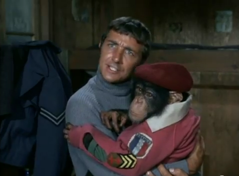 File:Zmonkey5.PNG