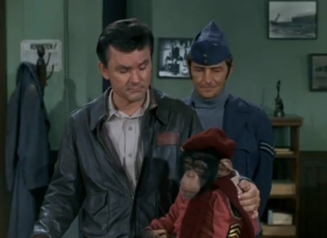 File:Zmonkey9.PNG