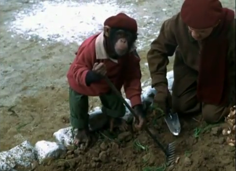 File:Zmonkey6.PNG