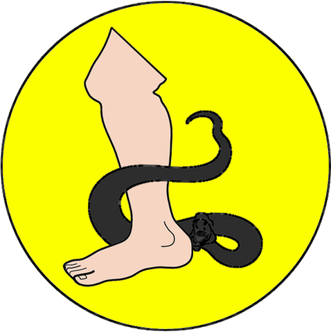 Archivo:Casa Wyl.png