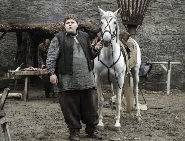 Archivo:Joven Hodor HBO.jpeg