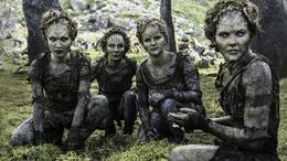 Hijos del Bosque HBO T6