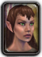 Icon woodelf female