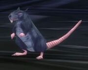 Deeprunrats