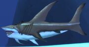 Baskingshark