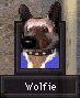 Wolfie