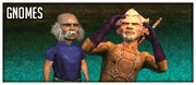 Spot race gnomes