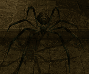 BloatedDireSpider