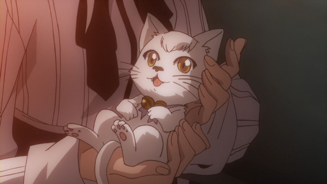 File:Shiro.png