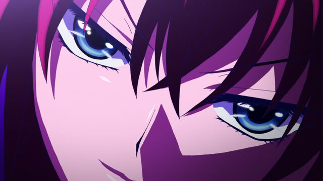 File:High School DxD - 01 - Large 35.jpg