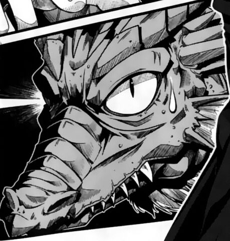 File:Tannin face up close (LN).jpg