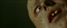 BigBrainHillsHaveEyes