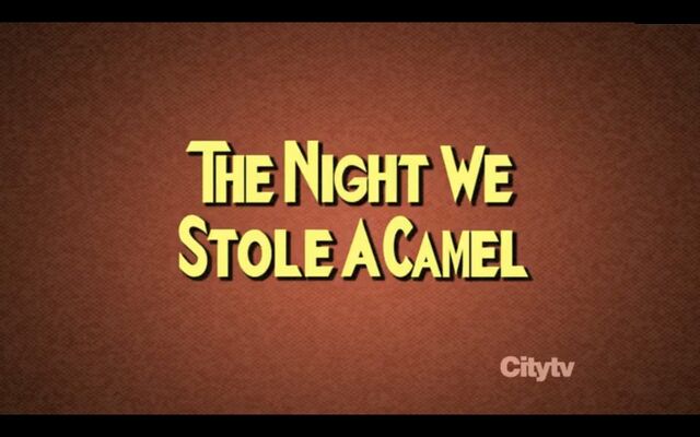 File:Camel.jpg