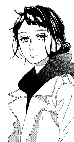 File:SamejimaProfile.png