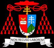 680px-CardinalPallium PioM012.jpg