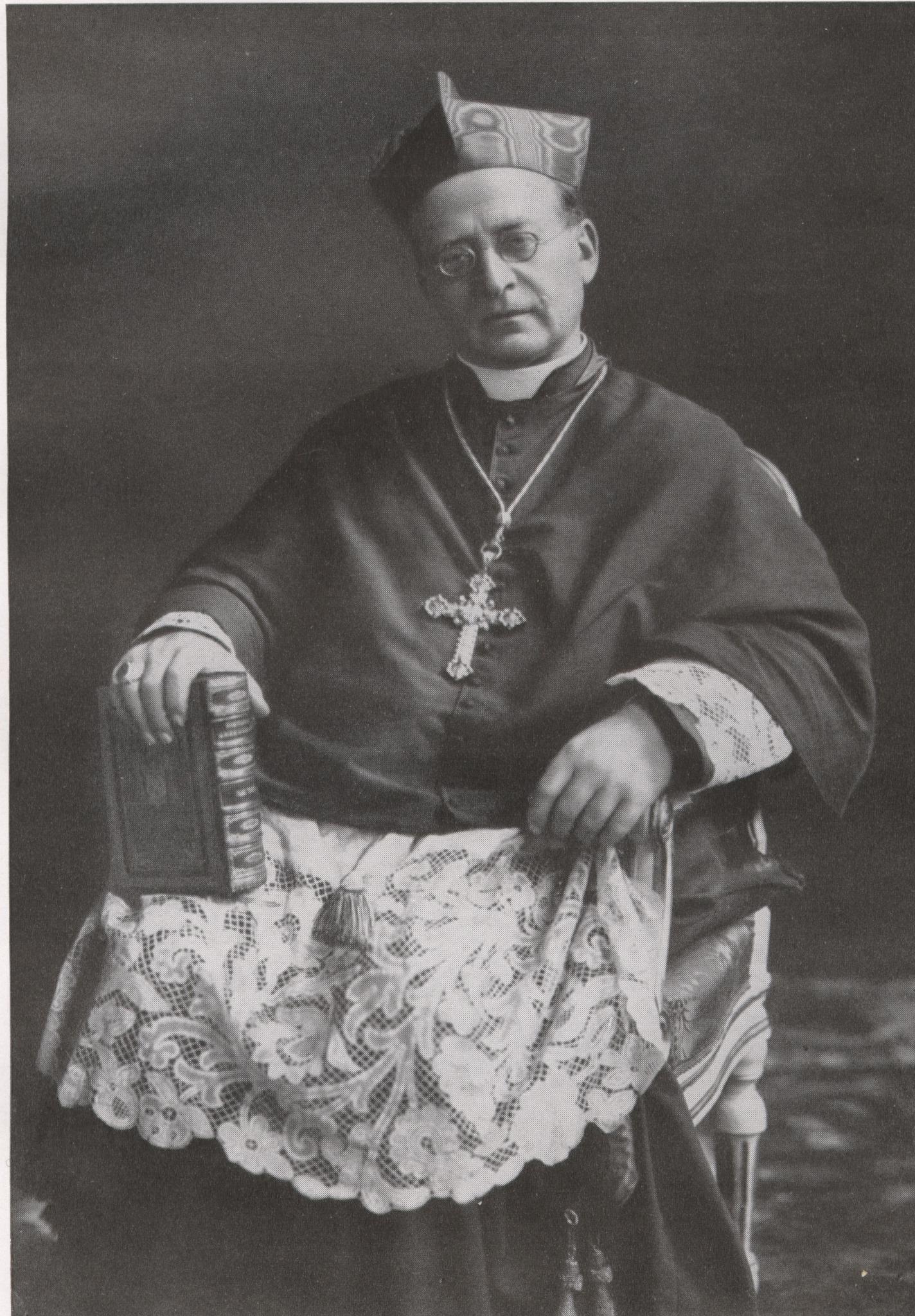 Pius XI Historia Wiki FANDOM powered by Wikia