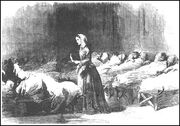 Florence nightingale