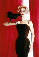 Birds 2