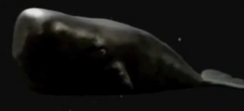Magrathean whale-tv