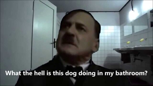 File:Hitler inquestion.jpg