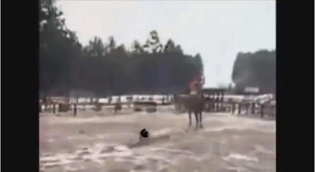 File:HitlerJapanFourth-muddy.jpg