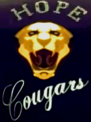 Gang Symbol.png