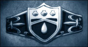 Rainring.jpg