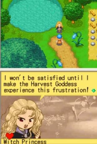 How to open casino in harvest moon ds cute