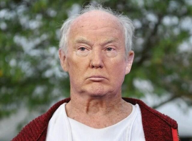 Bestand:Trumpwig.jpg