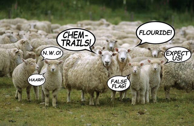 Bestand:Sheeple.jpg