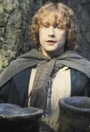 Pippin