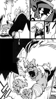 Yūmei Rōga Ken (manga)
