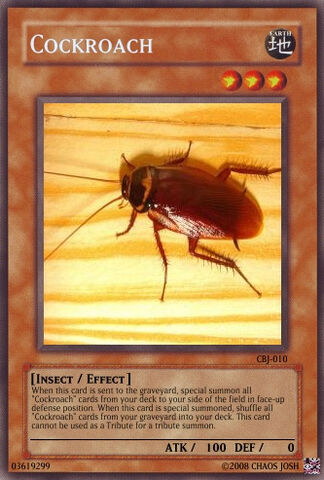 File:Cockroach.jpg