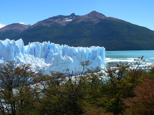 File:Iceforest,Threetreeforest,High mountain.jpg