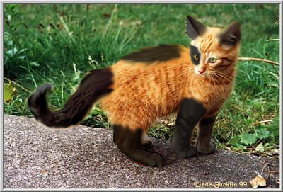 Orange and Brown Cat Furry Skin Minecraft Skin