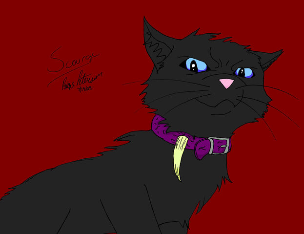File:Scourge.jpg