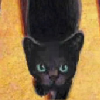 File:354.png