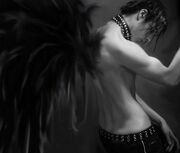 Shadowchaser2