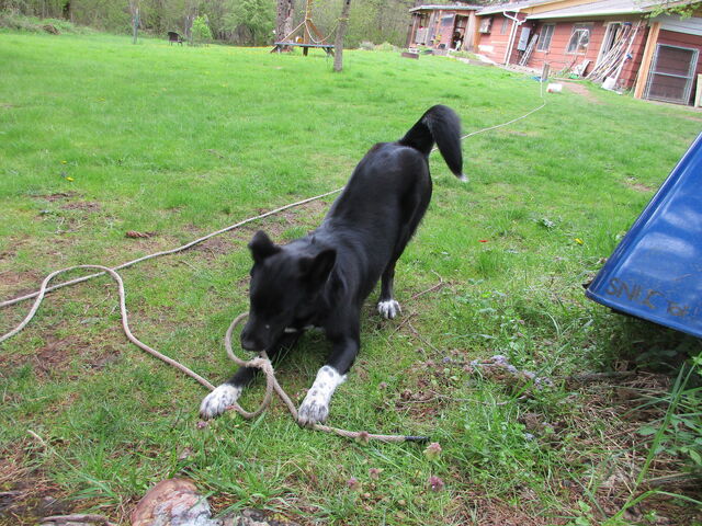 File:Kenny 3.jpg