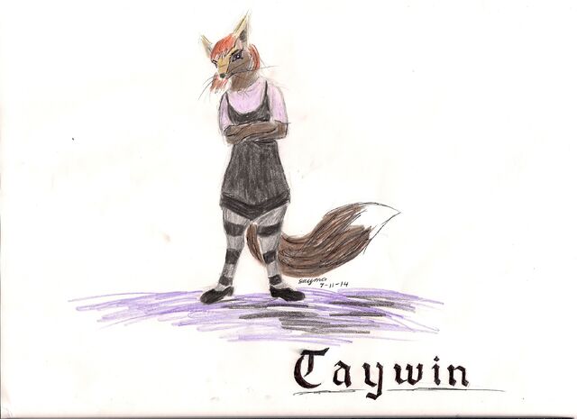 File:Taywin.jpg